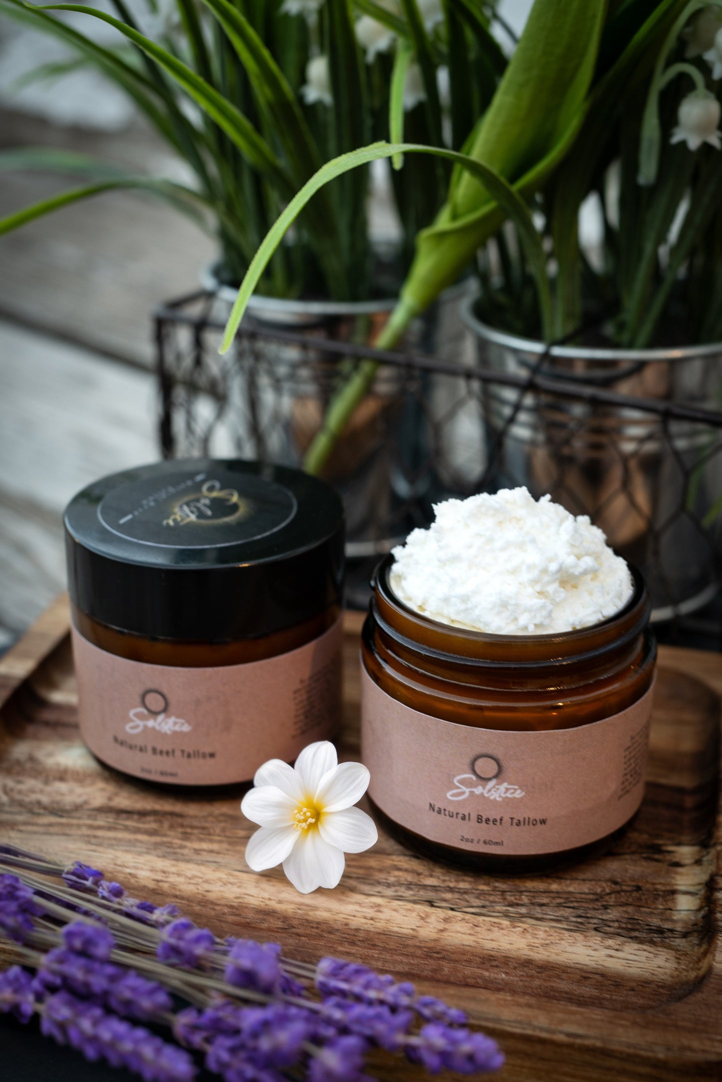 Whipped Tallow Balm: Lavender Vanilla (Seasonal)